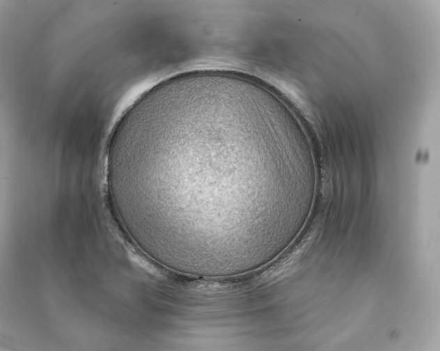 X0000090781366200708101823