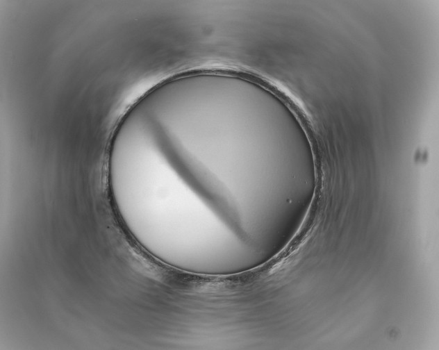 X0000090781367200708101823