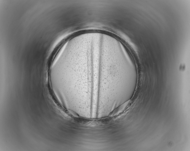 X0000090781368200708101823