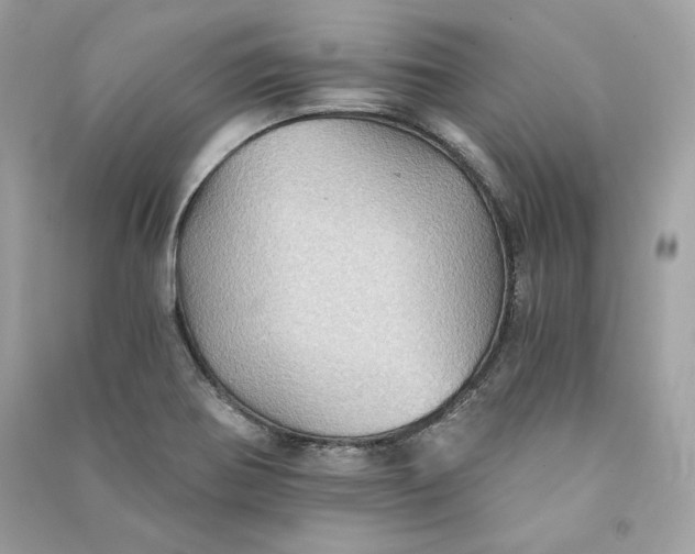 X0000090781370200708101823
