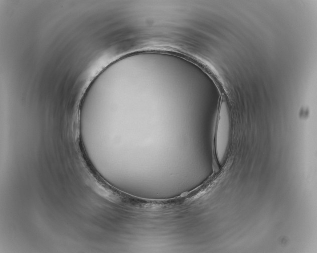 X0000090781371200708101823