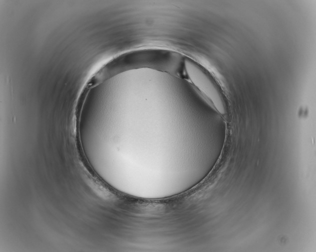 X0000090781372200708101823