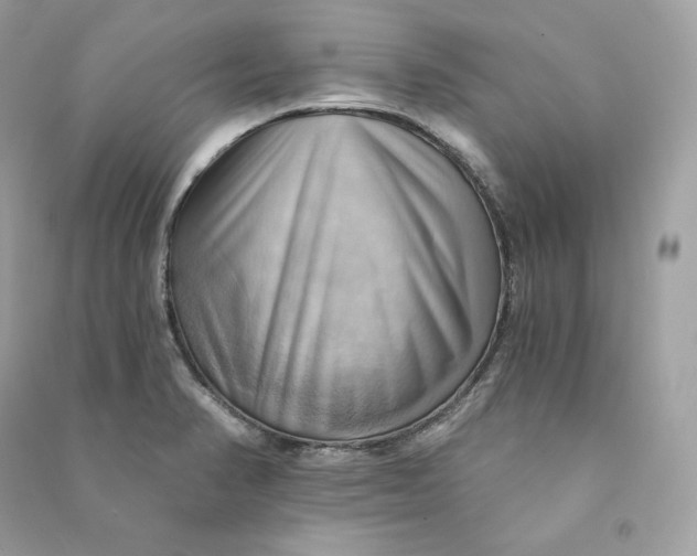 X0000090781374200708101823