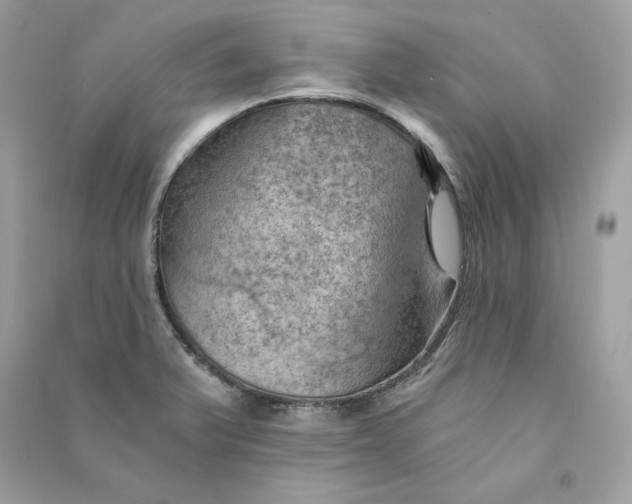 X0000090781375200708101823