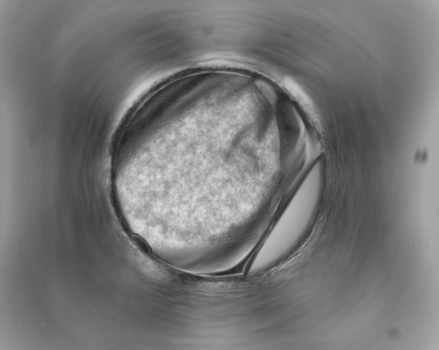 X0000090781376200708101823