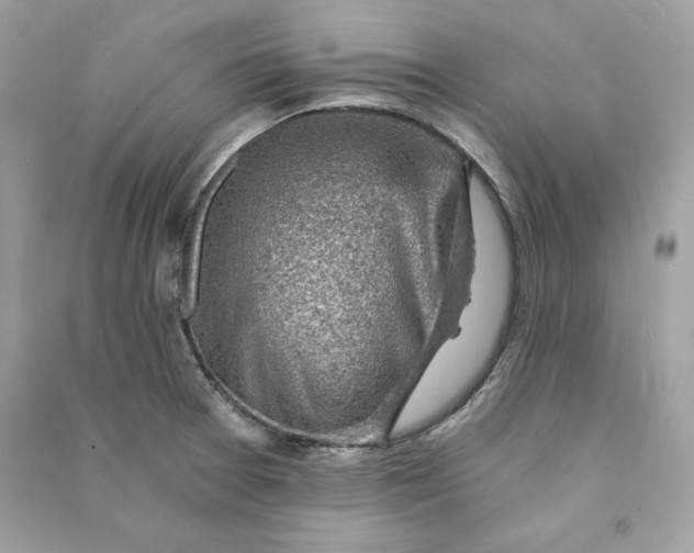 X0000090781377200708101823