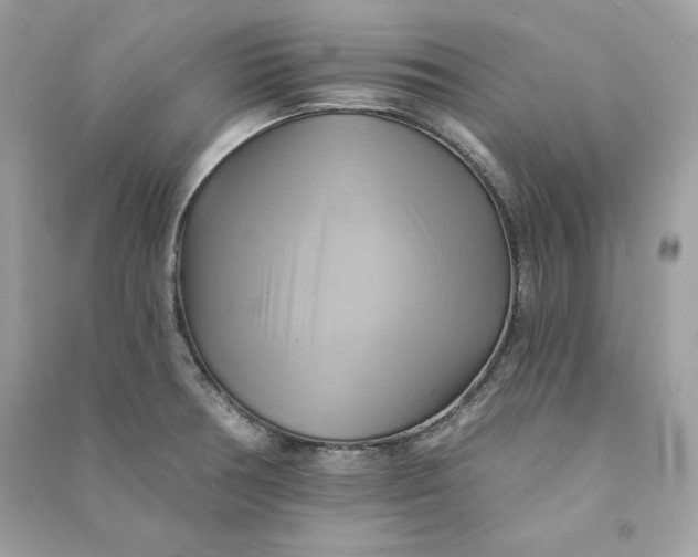 X0000090781378200708101823