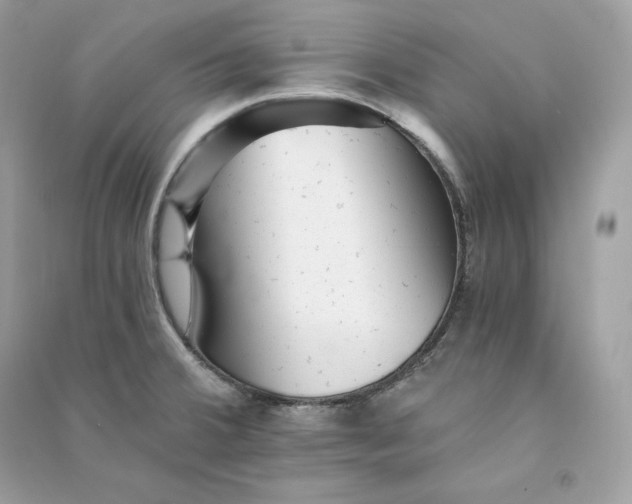 X0000090781380200708101823
