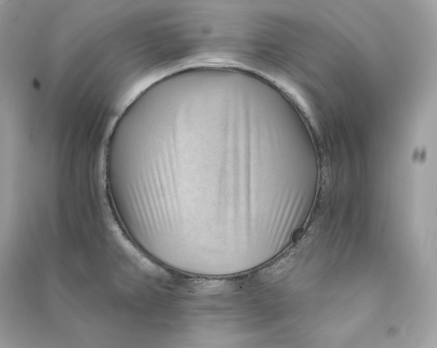 X0000090781382200708101823