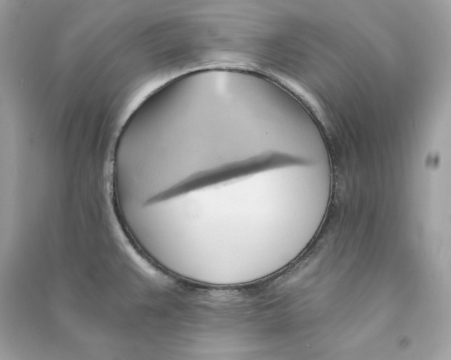 X0000090781383200708101823