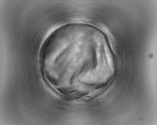 X0000090781384200708101823