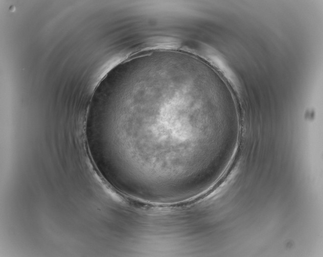 X0000090781385200708101823