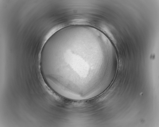 X0000090781386200708101823