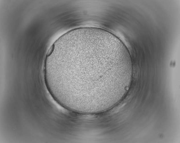 X0000090781387200708101822