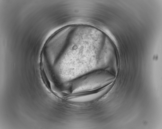 X0000090781388200708101822