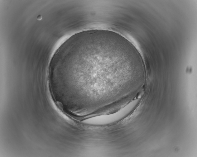 X0000090781389200708101822