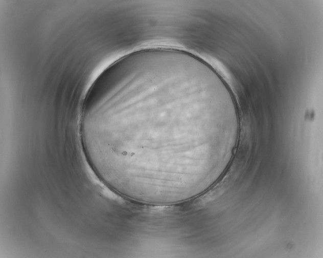 X0000090781390200708101822