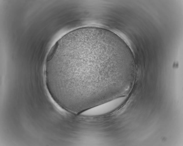 X0000090781391200708101822