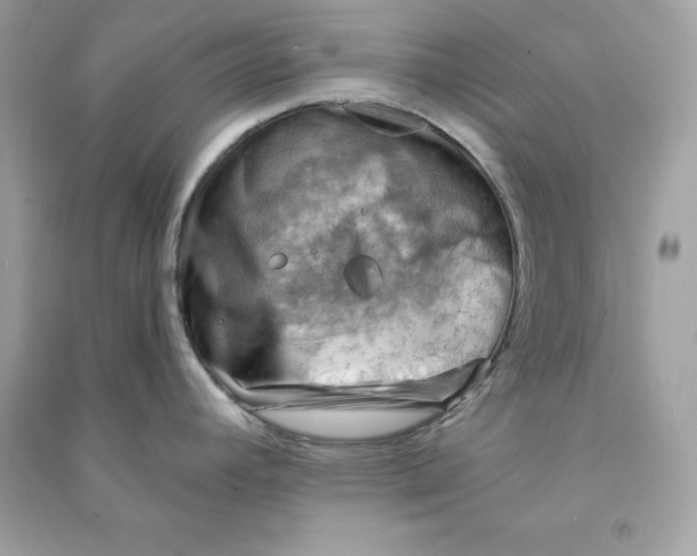 X0000090781392200708101822