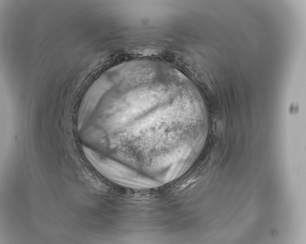X0000090781393200708101821