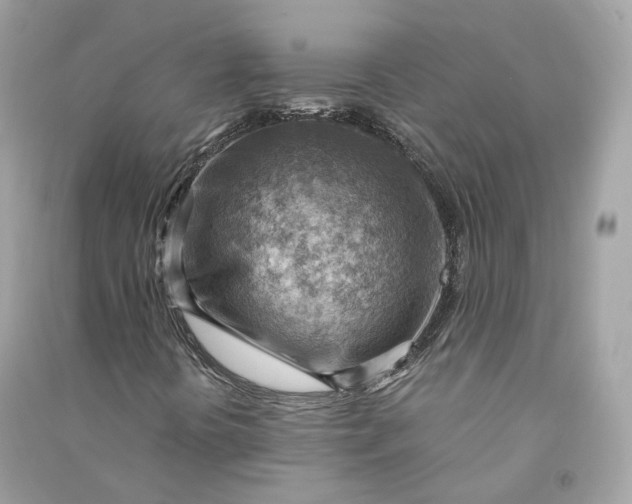 X0000090781394200708101821