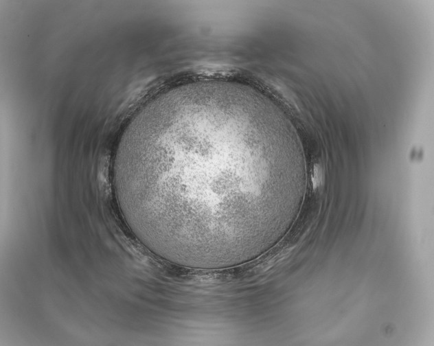 X0000090781396200708101822
