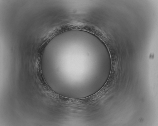 X0000090781397200708101822