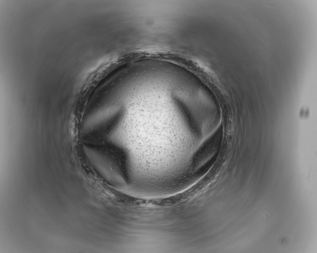 X0000090781398200708101822