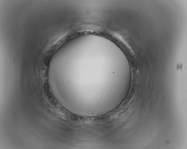 X0000090781399200708101822