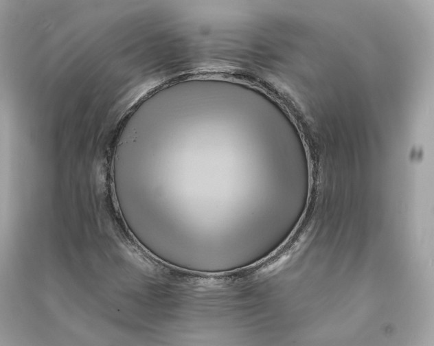 X0000090781401200708101822
