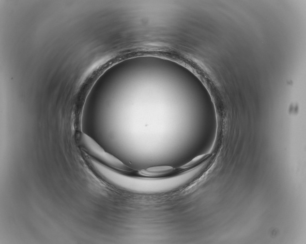 X0000090781402200708101822