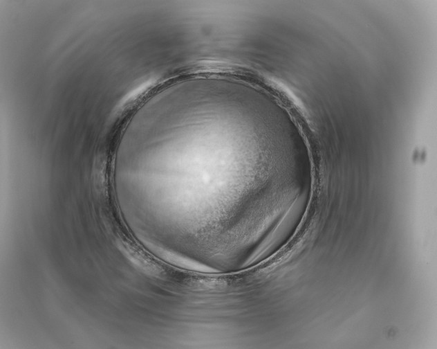 X0000090781403200708101822