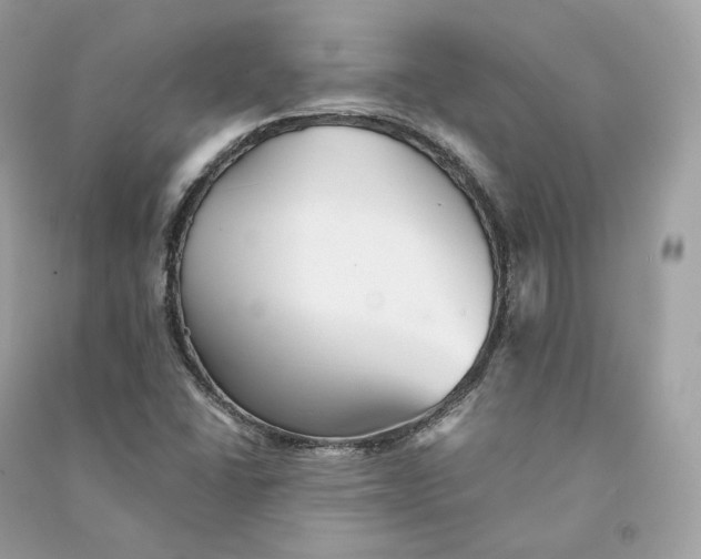 X0000090781406200708101822
