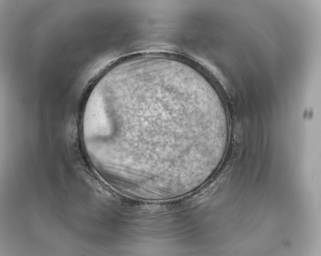 X0000090781407200708101822