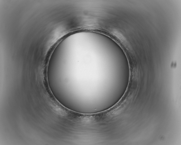 X0000090781410200708101822
