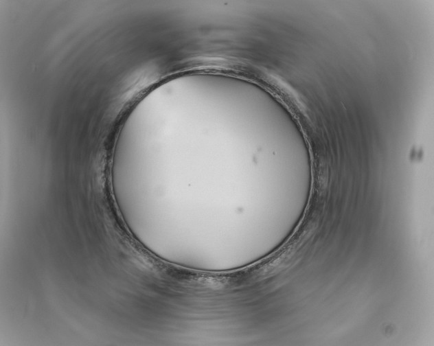 X0000090781411200708101822