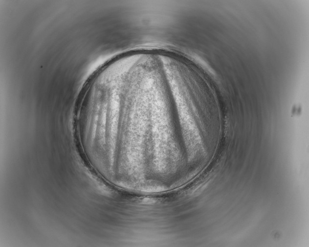 X0000090781412200708101822