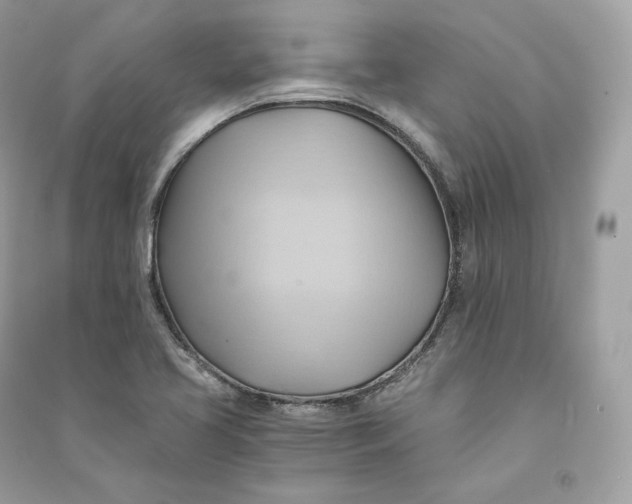 X0000090781413200708101822