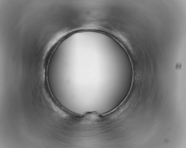 X0000090781414200708101822
