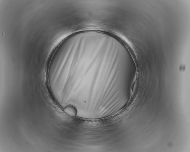X0000090781415200708101822