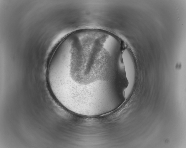 X0000090781416200708101822