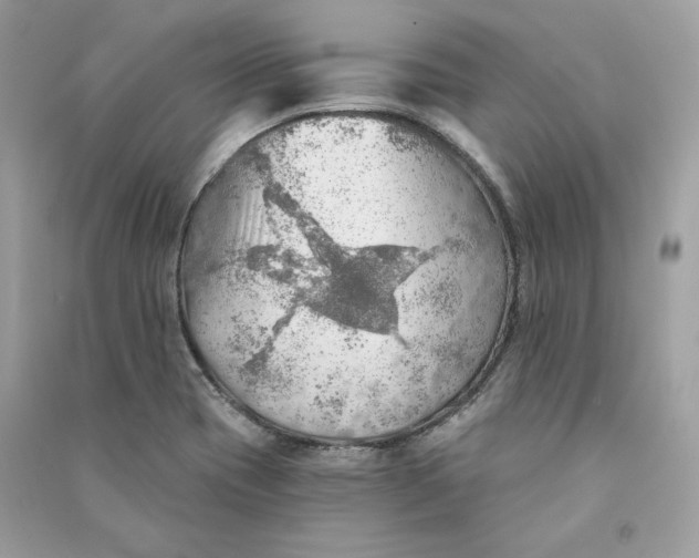 X0000090781417200708101822