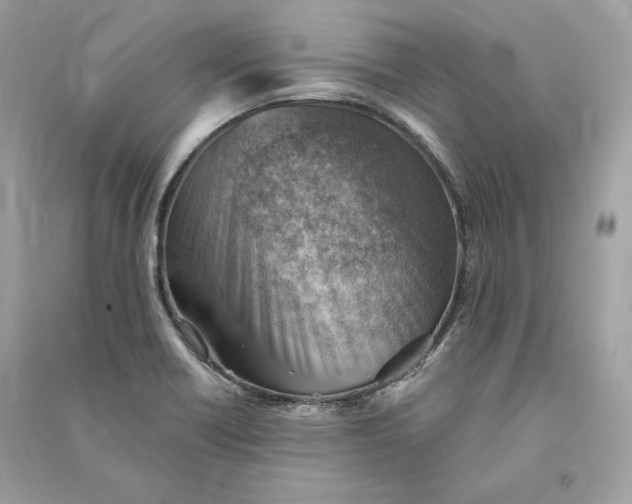 X0000090781418200708101822