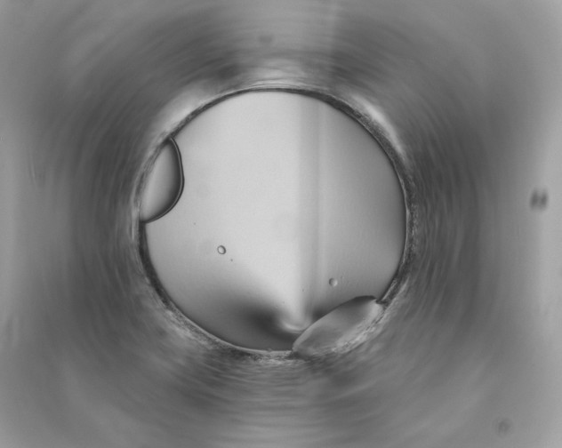 X0000090781419200708101822
