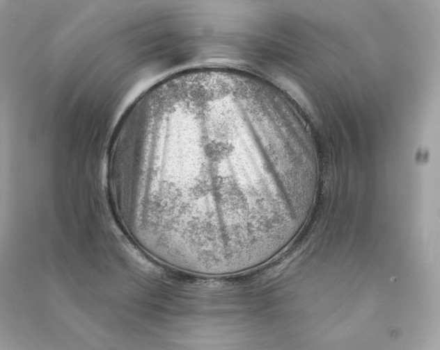 X0000090781420200708101822