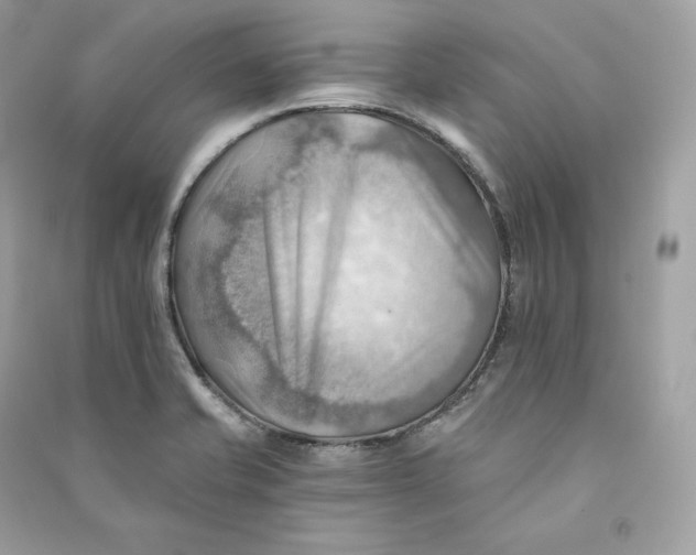 X0000090781421200708101822