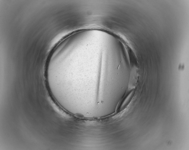 X0000090781422200708101822