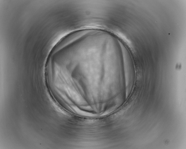 X0000090781423200708101822