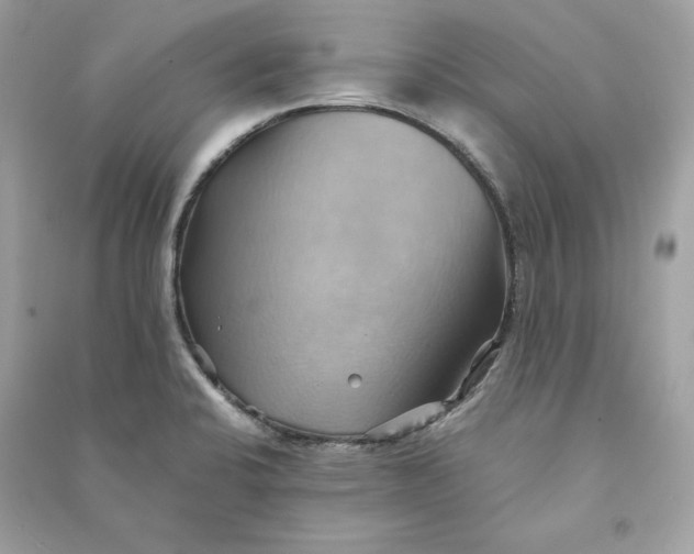 X0000090781424200708101822