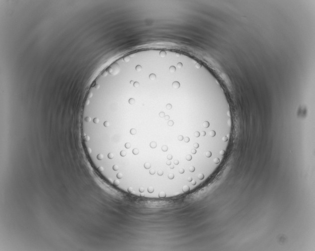 X0000090781425200708101822